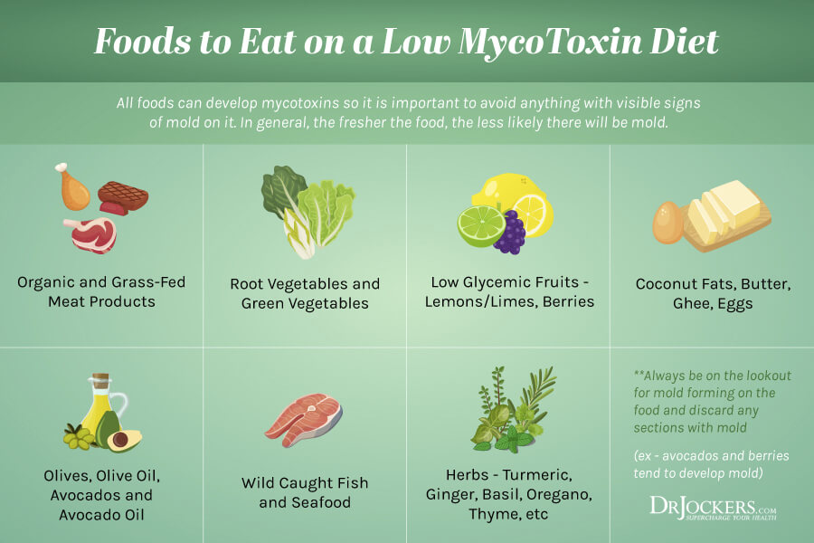 mycotoxins, Mycotoxins:  What Are They, Testing and How to Detox