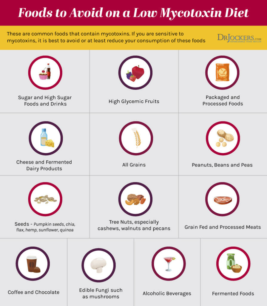 Mycotoxins What Are They, Testing and How to Detox