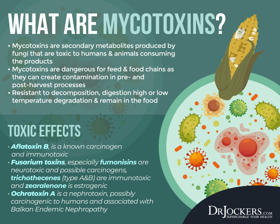 mycotoxins, Mycotoxins:  What Are They, Testing and How to Detox