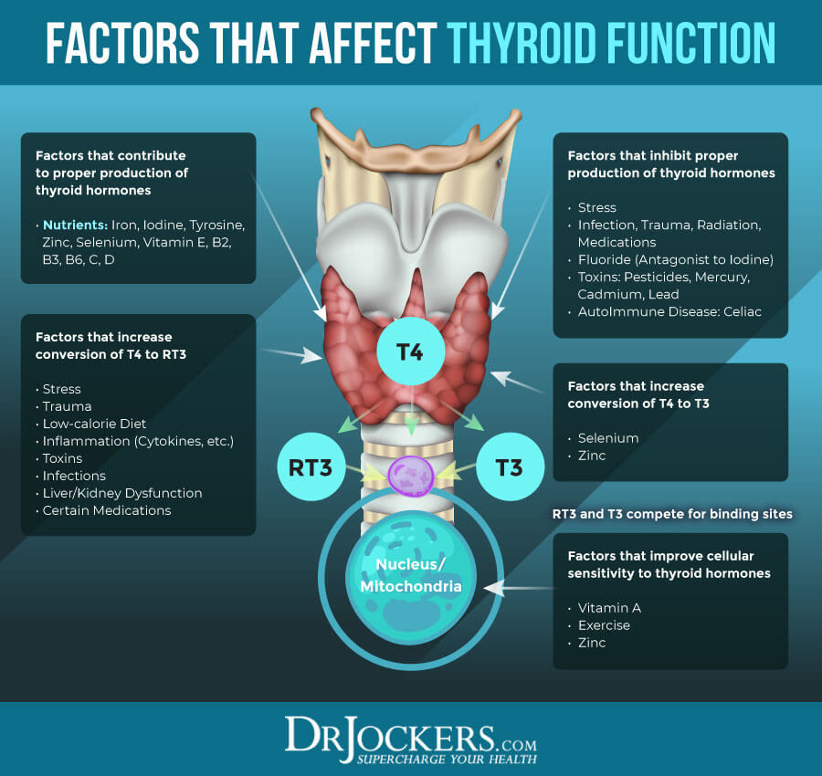 Underactive thyroid, 7 Signs of an Underactive Thyroid