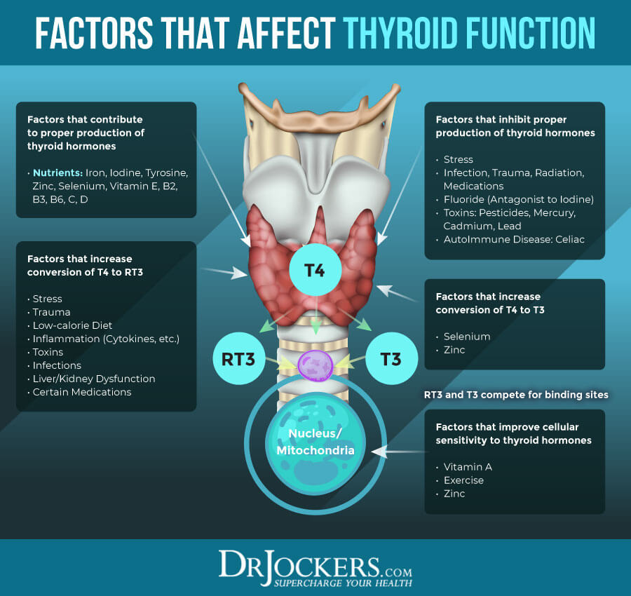 hypothyroid