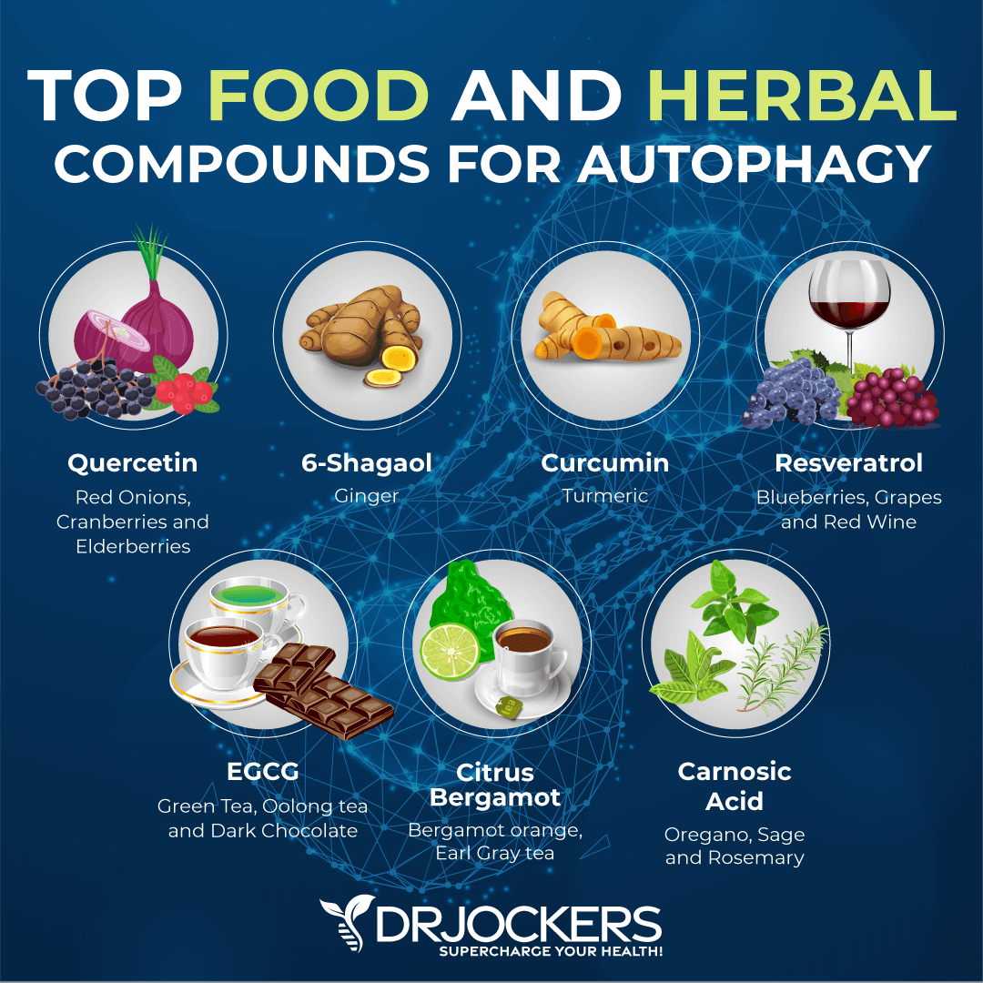 Enhance autophagy, 7 Herbs That Enhance Autophagy and Cellular Healing