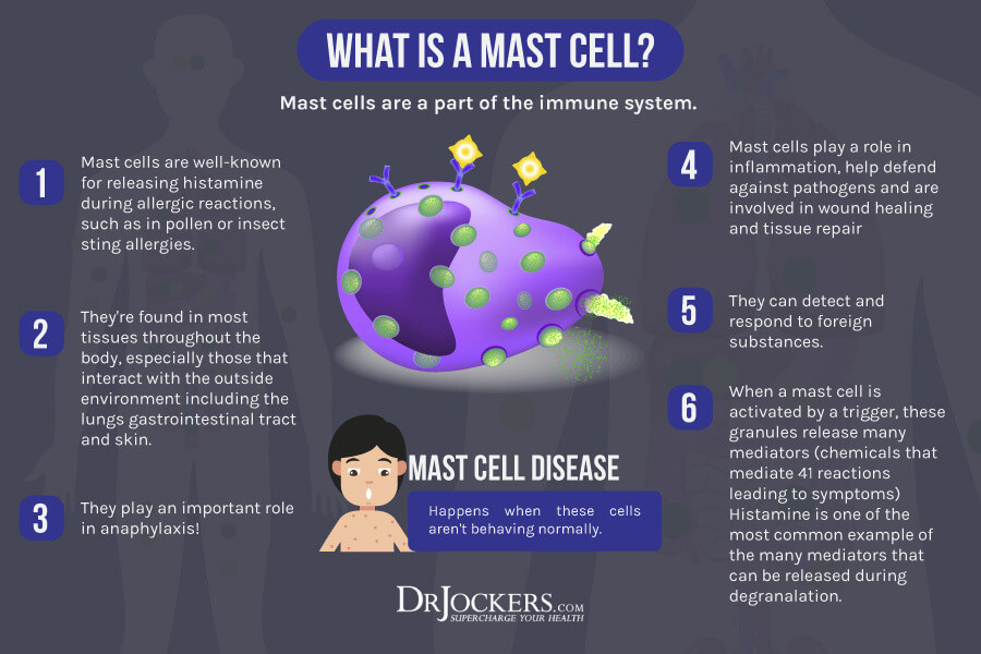 Mast Cell, Mast Cell Activation Syndrome: Symptoms and Solutions