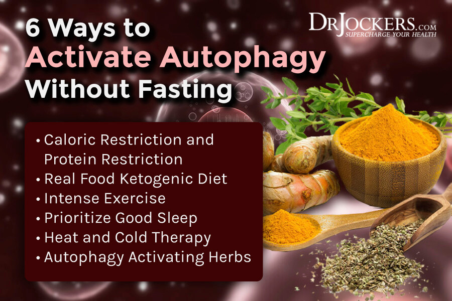activate autophagy, 6 Ways To Activate Autophagy Without Fasting