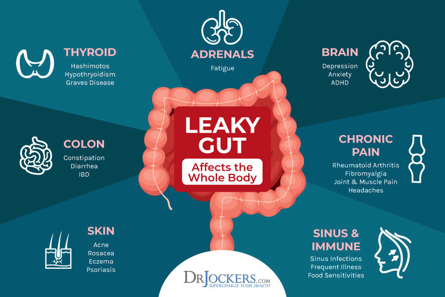 gut brain, Is The Gut-Brain-Skin Axis to Blame For Anxiety and Acne?