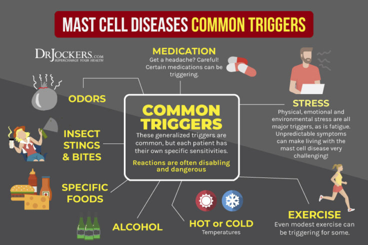 Mast Cell Activation Syndrome: Symptoms And Support Strategies