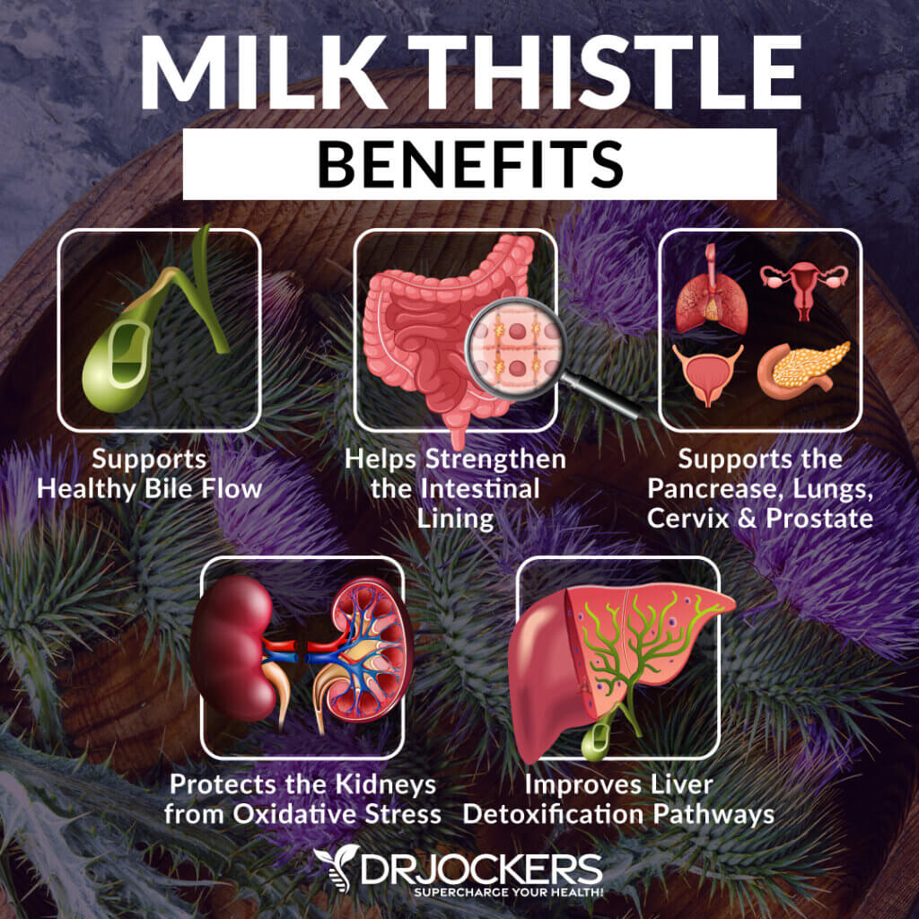 Bile Flow Top 15 Herbs to Support Liver & Gallbladder