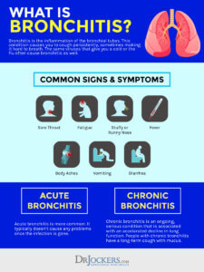 Bronchitis: Causes, Symptoms and Support Strategies - DrJockers.com