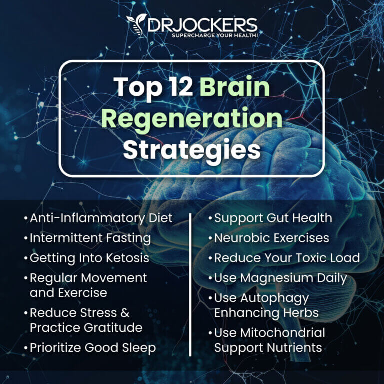 Brain Regeneration: 12 Ways to Heal Brain Cells - DrJockers.com