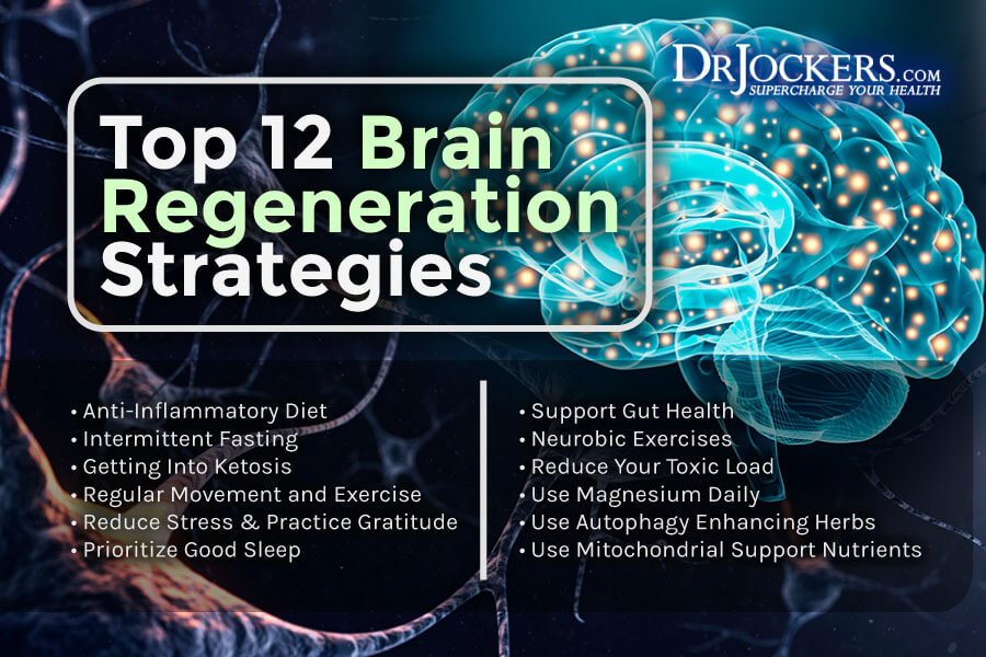 brain regeneration, Brain Regeneration: 12 Ways to Heal Brain Cells