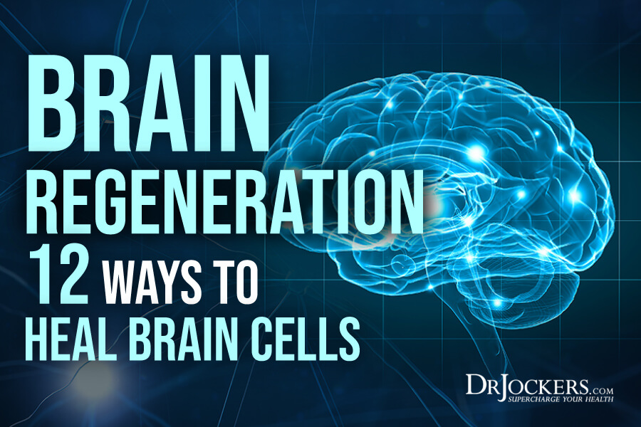 brain regeneration, Brain Regeneration:  12 Ways to Heal Brain Cells
