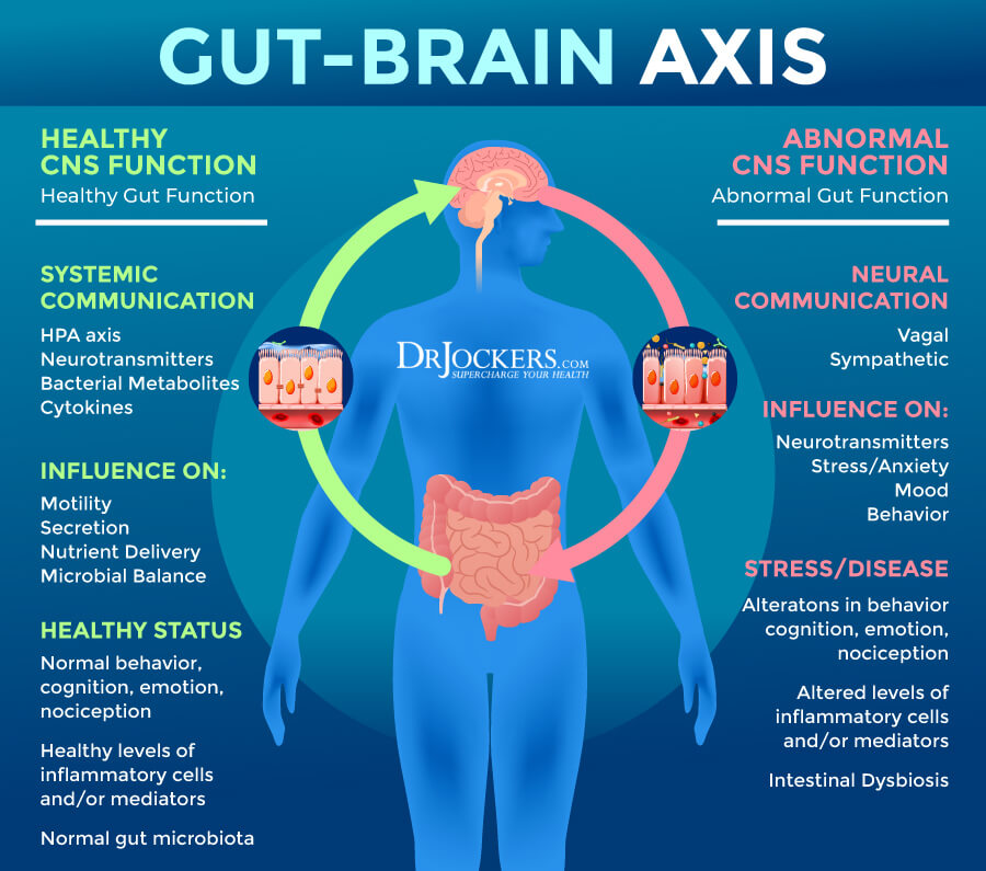 trigger anxiety, 6 Foods That Trigger Anxiety and What To Eat Instead