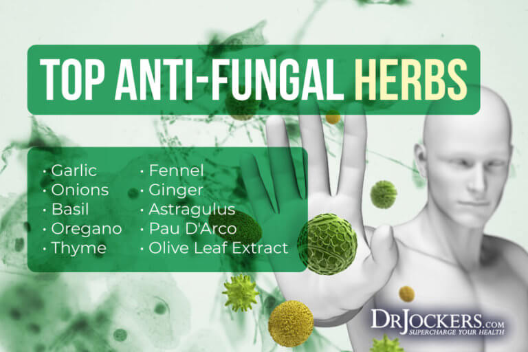 Fungal Overgrowth Causes, Symptoms & Solutions
