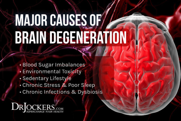 Brain Degeneration: Causes, Symptoms & Solutions - DrJockers.com