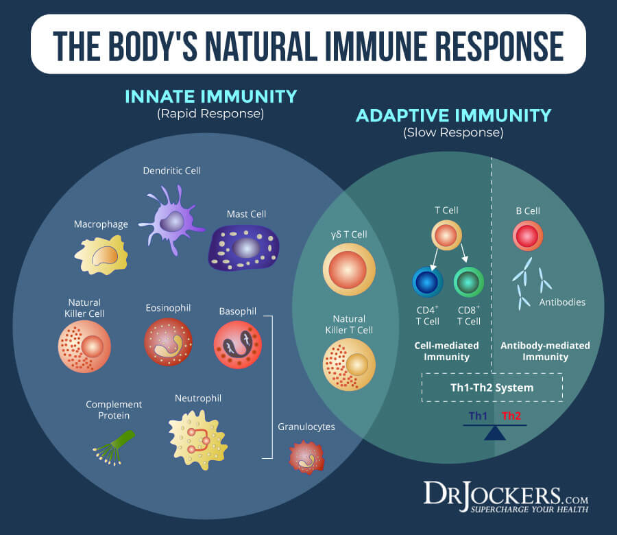 immune boosters, Immune Boosters: 12 Natural Immune System Modulators
