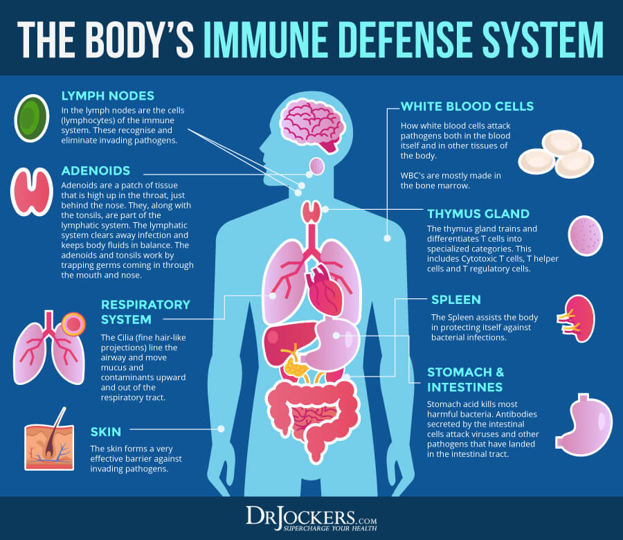 weaken immunity, 7 Toxins That Weaken Immunity and How To Detox