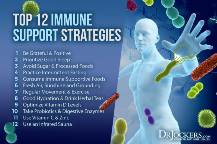 Top 12 Immune Support Strategies to Thrive in Life - DrJockers.com