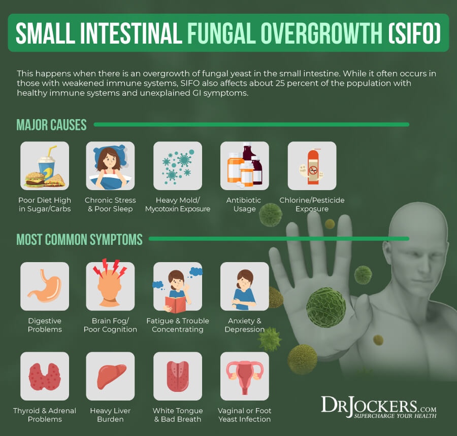 fungal, Fungal Overgrowth:  Causes, Symptoms &#038; Solutions