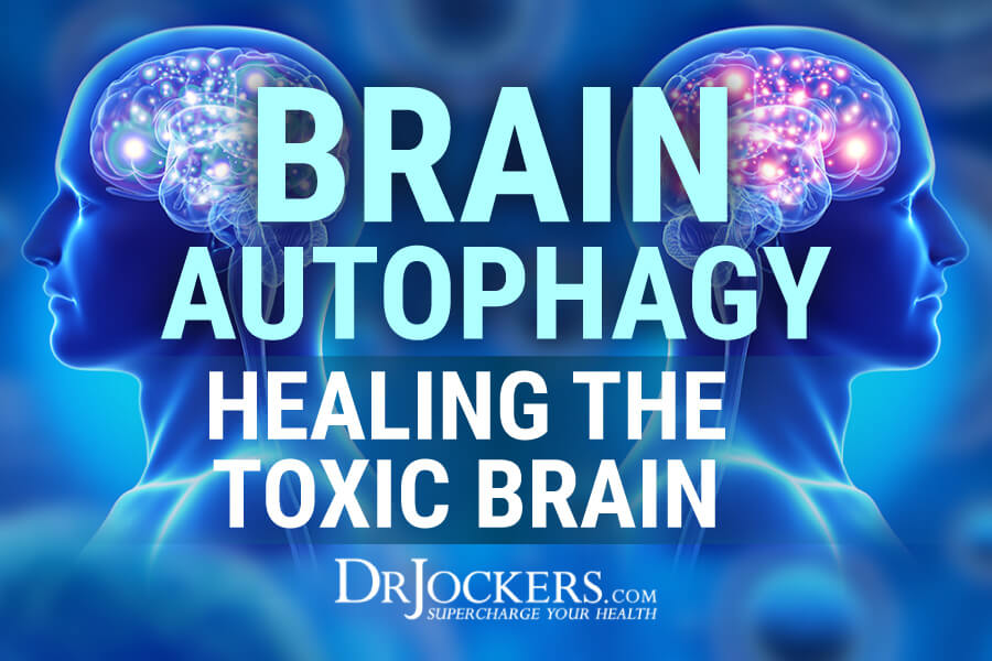 brain autophagy, Brain Autophagy: Healing the Toxic Brain
