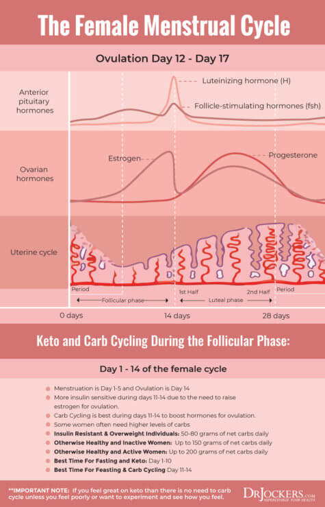 Menstrual Cycle Optimization with Feast/Famine Cycling - DrJockers.com