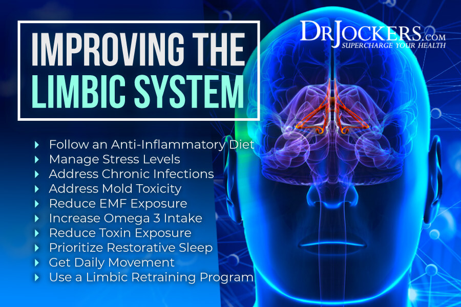 limbic, Limbic Retraining: 10 Strategies to Improve Limbic System Function
