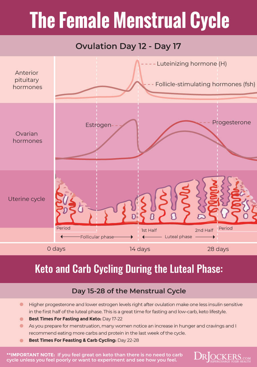 I'm a dietician- here's what you should eat during each phase of your  menstrual cycle to ease cramps and ward off mood swings