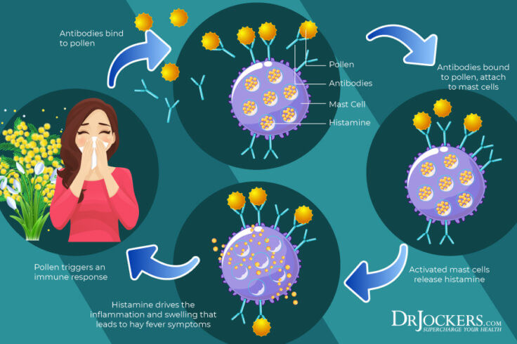 Pollen Allergies Symptoms And Natural Support Strategies