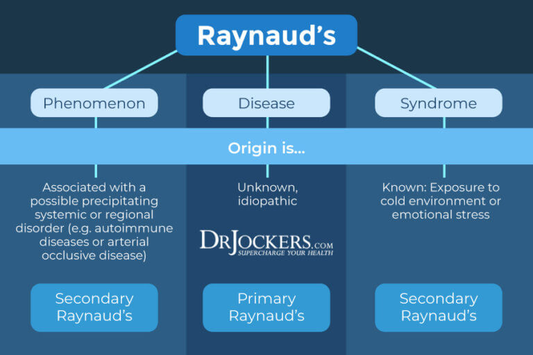 Raynaud's Phenomenon: Causes, Symptoms & Support Strategies