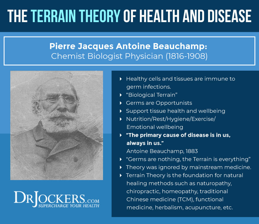 germ theory, Germ Theory vs Terrain Theory of Health &#038; Disease