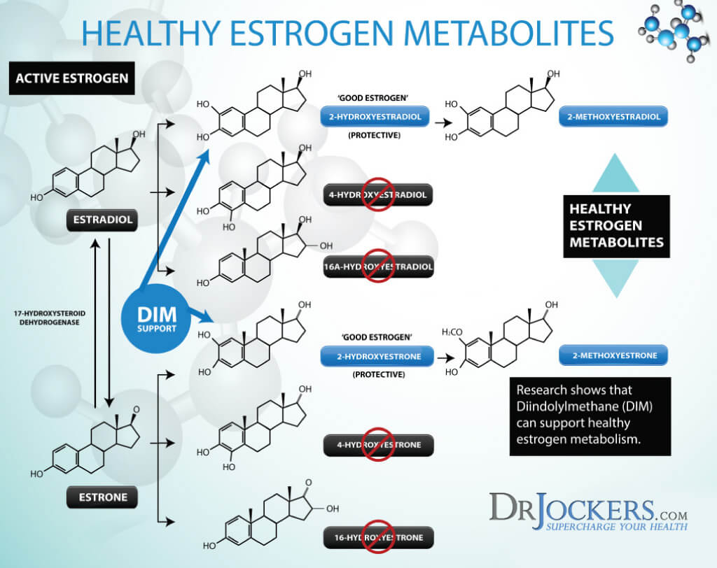 estrogen metabolism, 7 Ways to Improve Estrogen Metabolism
