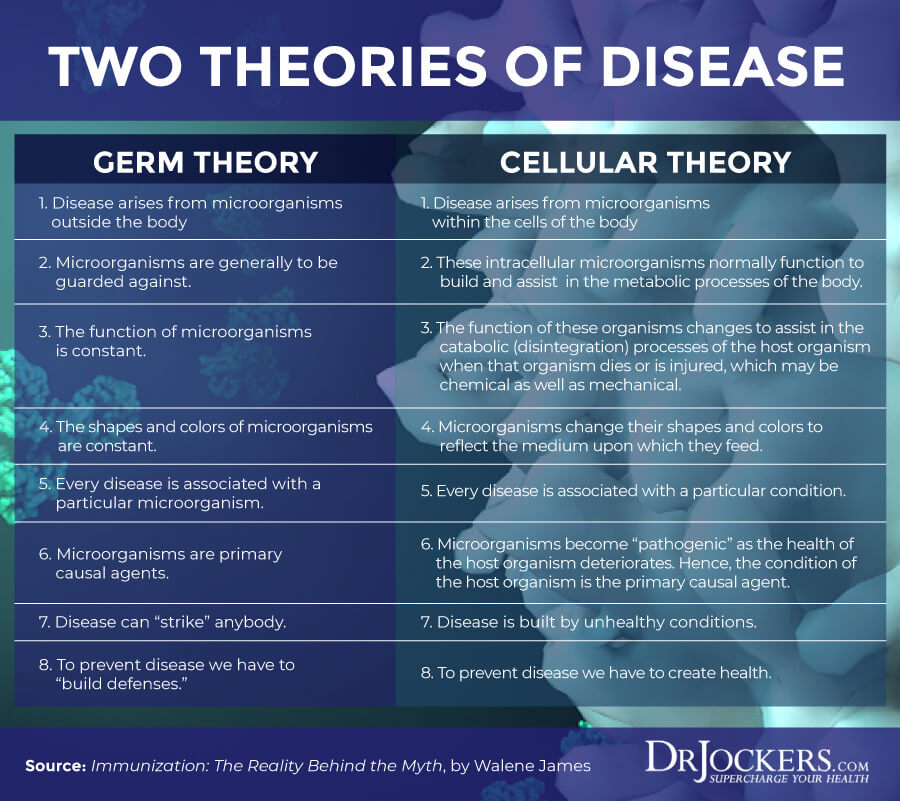germ theory, Germ Theory vs Terrain Theory of Health &#038; Disease