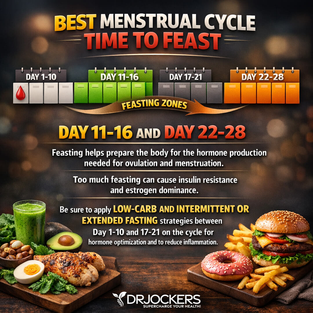 menstrual cycle