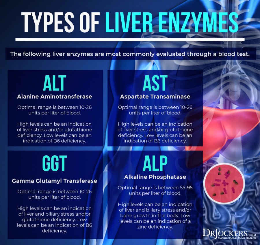 inflammatory, Top 12 Inflammatory Lab Markers and Optimal Ranges