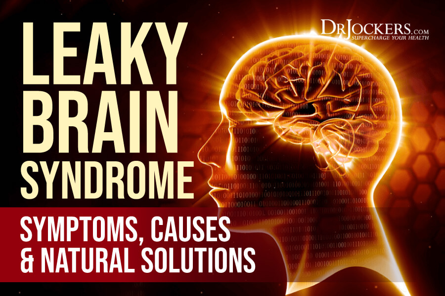 Leaky Brain, Leaky Brain Syndrome: Symptoms, Causes and Natural Solutions