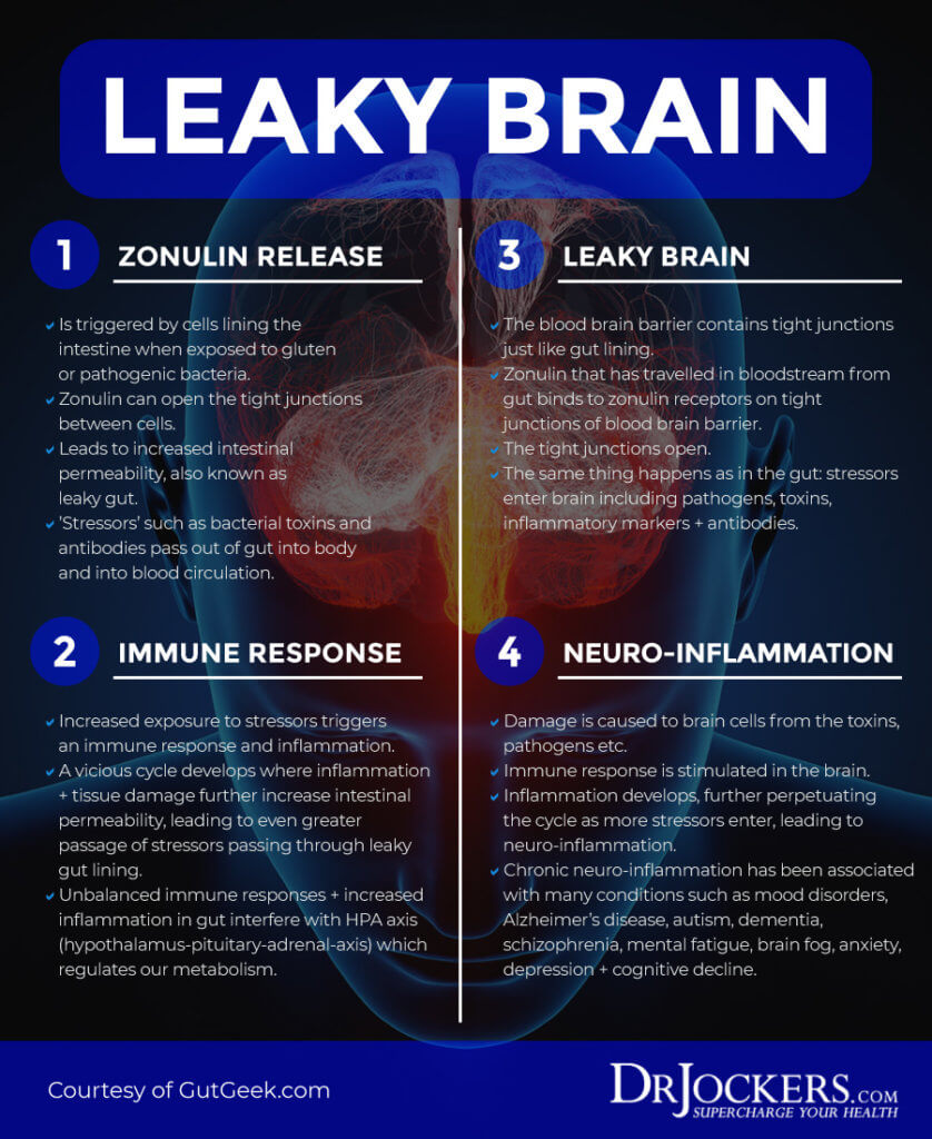 Leaky Brain Syndrome: Symptoms, Causes and Natural Solutions