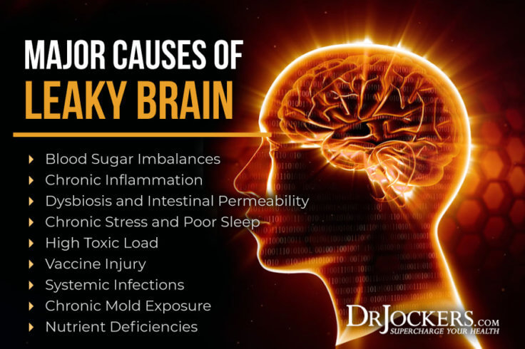 Leaky Brain Syndrome: Symptoms, Causes and Natural Solutions