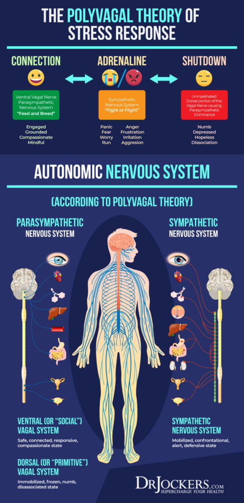 Improving Vagal Tone For Better Mental and Emotional Health