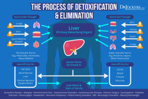 ALS: Symptoms, Causes, and Natural Support Strategies - DrJockers.com