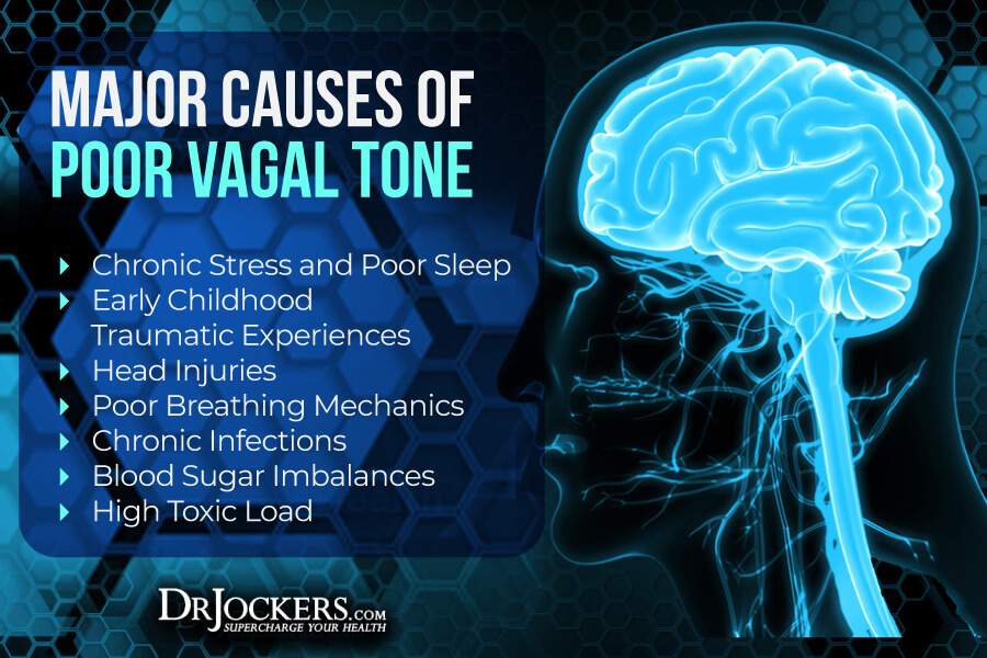 vagal tone, Improving Vagal Tone For Better Mental and Emotional Health
