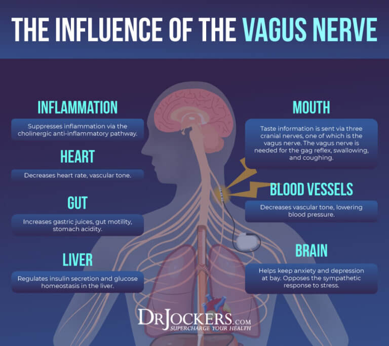 Improving Vagal Tone For Better Mental and Emotional Health