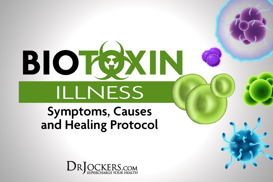 Biotoxin, BioToxin Illness:  Symptoms, Causes and Healing Protocol