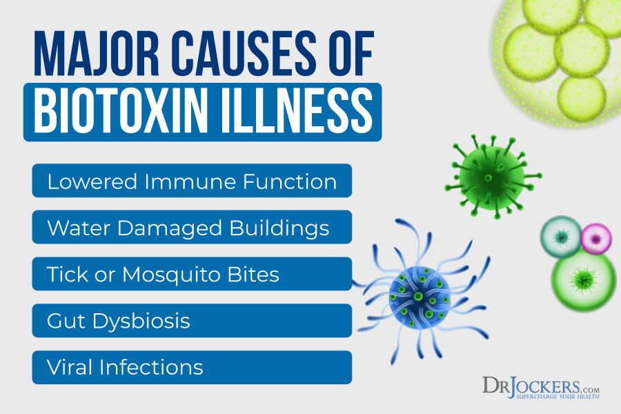 Biotoxin, BioToxin Illness:  Symptoms, Causes and Healing Protocol