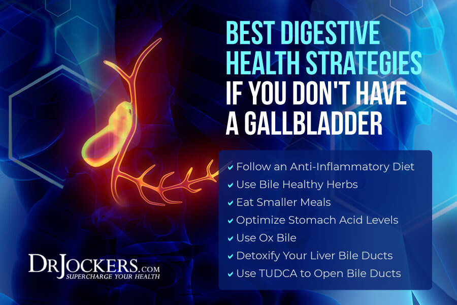 no gallbladder, No Gallbladder: Strategies to Improve Digestive Health After Surgery
