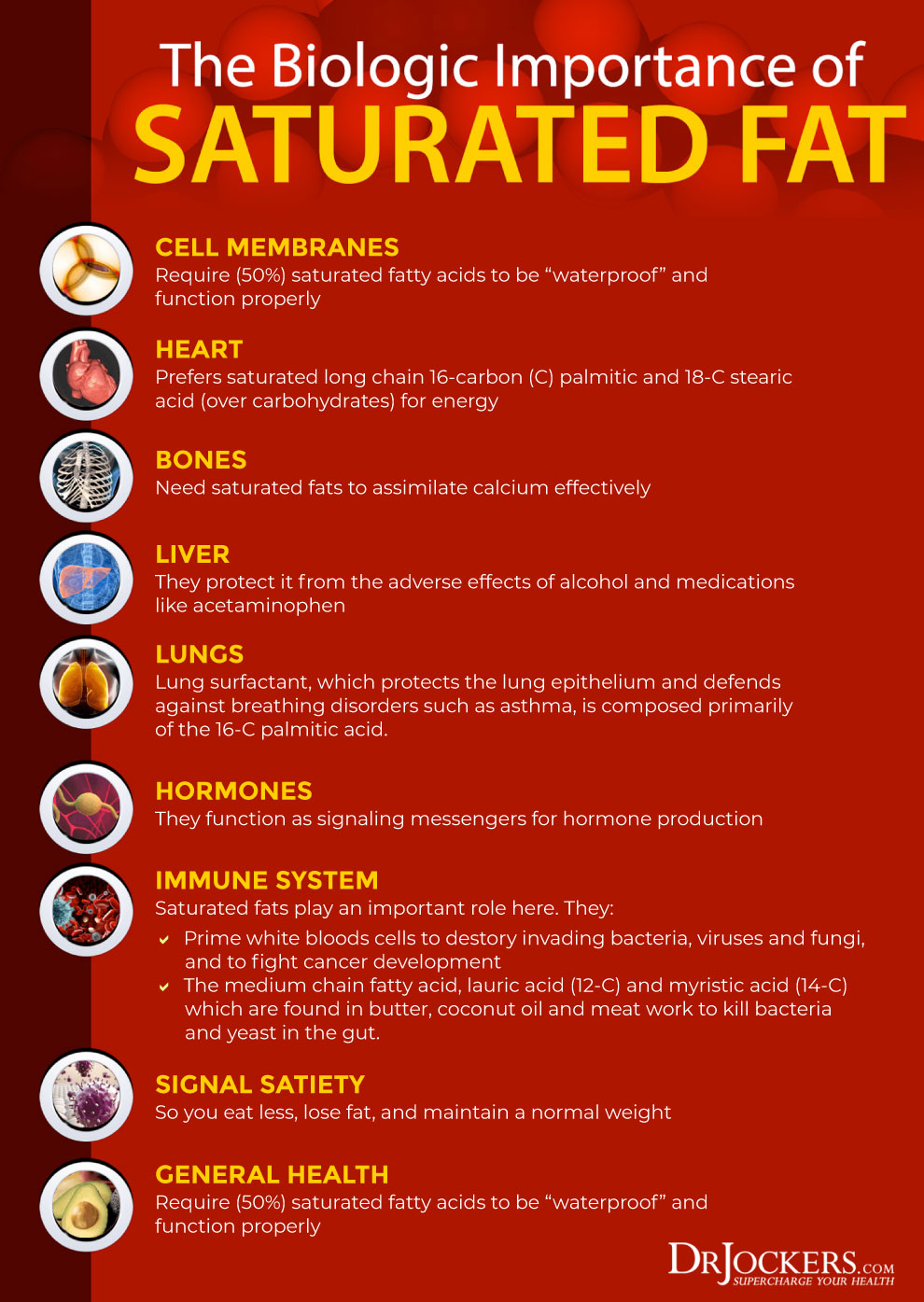 cholesterol myth, The Great Cholesterol Myth