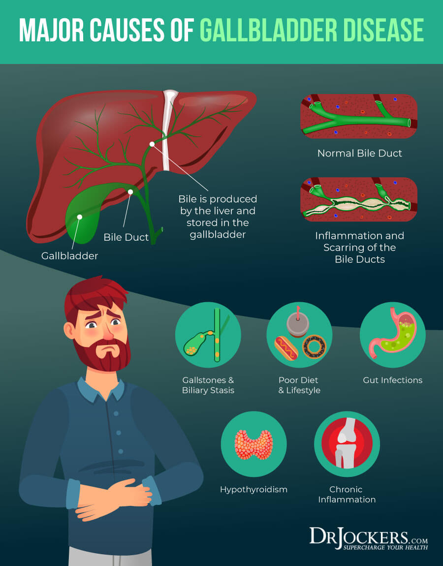 The Gallbladder Body Type Diet, Profile and Pictures