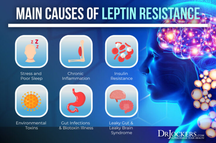 Leptin Resistance: Symptoms, Causes And Support Strategies