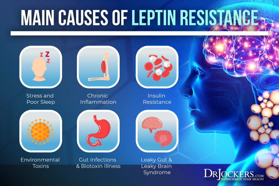 Leptin, Leptin Resistance:  Causes, Symptoms and Support Strategies