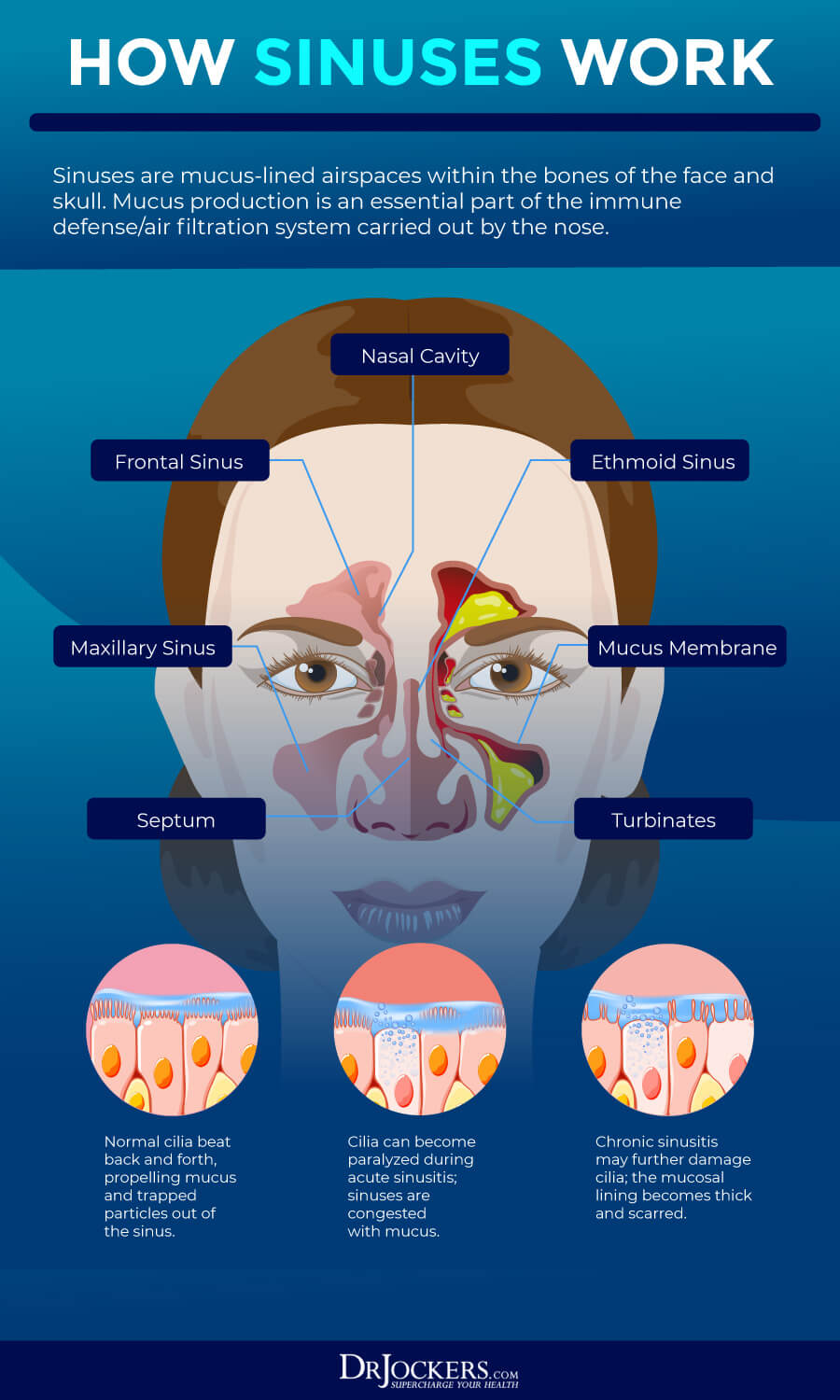 Constant deals nasal congestion