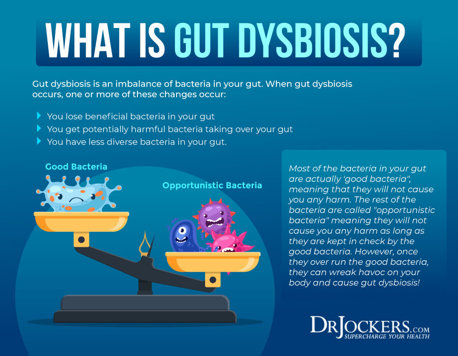 Dysbiosis, Dysbiosis: What is It and How to Heal Your Microbiome 