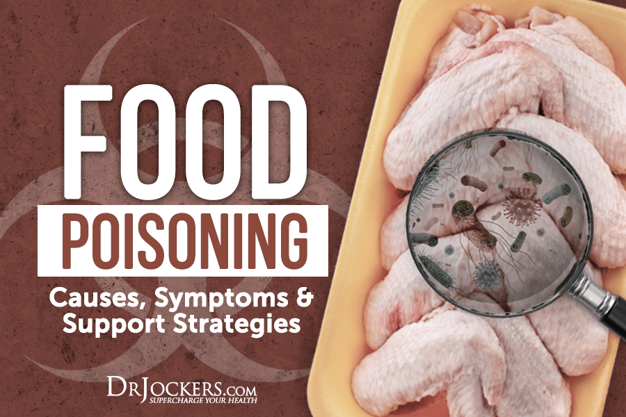 food poisoning, Food Poisoning: Causes, Symptoms &#038; Support Strategies